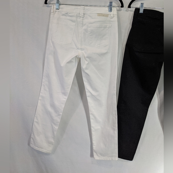 Nfs - Picture 7 of 11